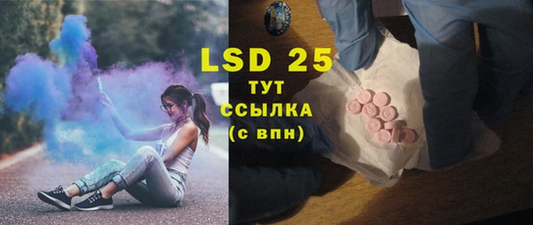 ПСИЛОЦИБИНОВЫЕ ГРИБЫ Гусев