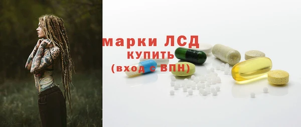 ПСИЛОЦИБИНОВЫЕ ГРИБЫ Гусев