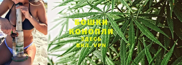 ПСИЛОЦИБИНОВЫЕ ГРИБЫ Гусев