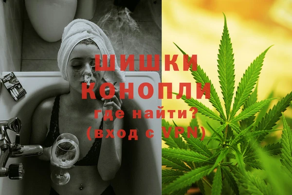 PSILOCYBIN Гусь-Хрустальный