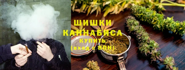 PSILOCYBIN Гусь-Хрустальный