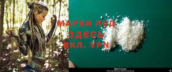 ПСИЛОЦИБИНОВЫЕ ГРИБЫ Гусев
