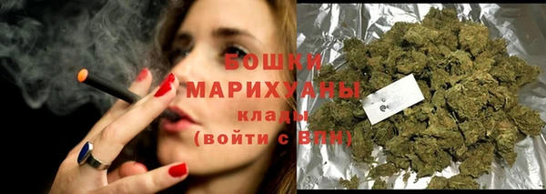 PSILOCYBIN Гусь-Хрустальный