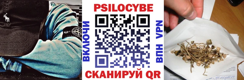 Псилоцибиновые грибы GOLDEN TEACHER  Курган 
